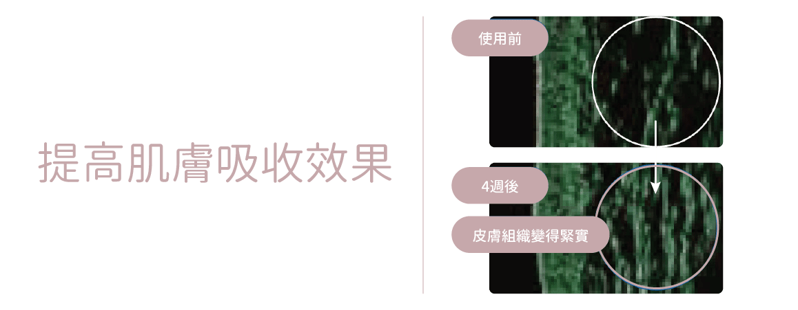 提高肌膚吸收效果