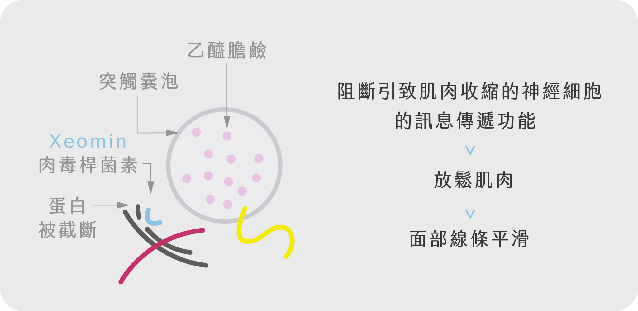 治療思路
