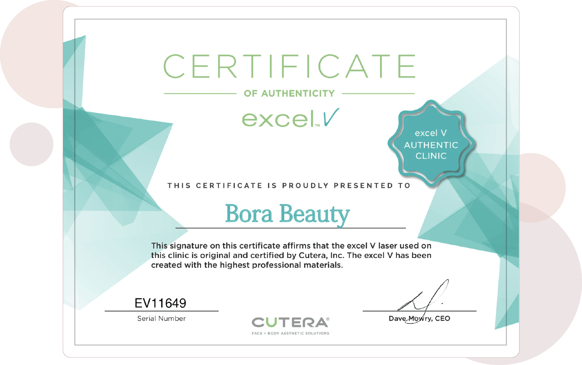 excel-v certificate