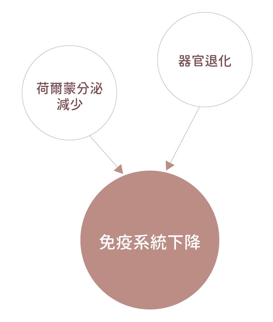 荷爾蒙影響