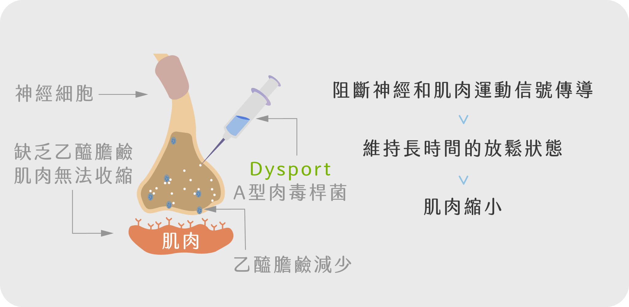 治療思路