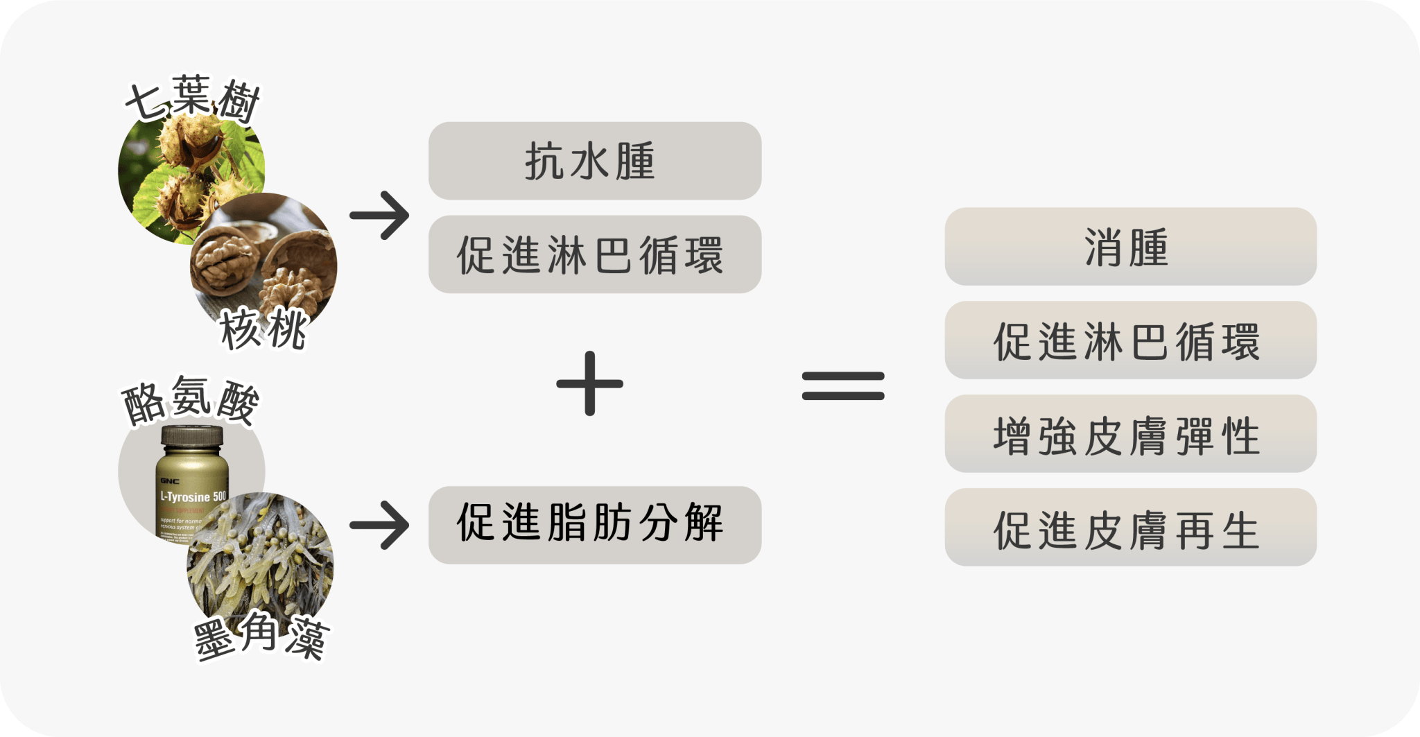 ART LINE溶脂針主要成份