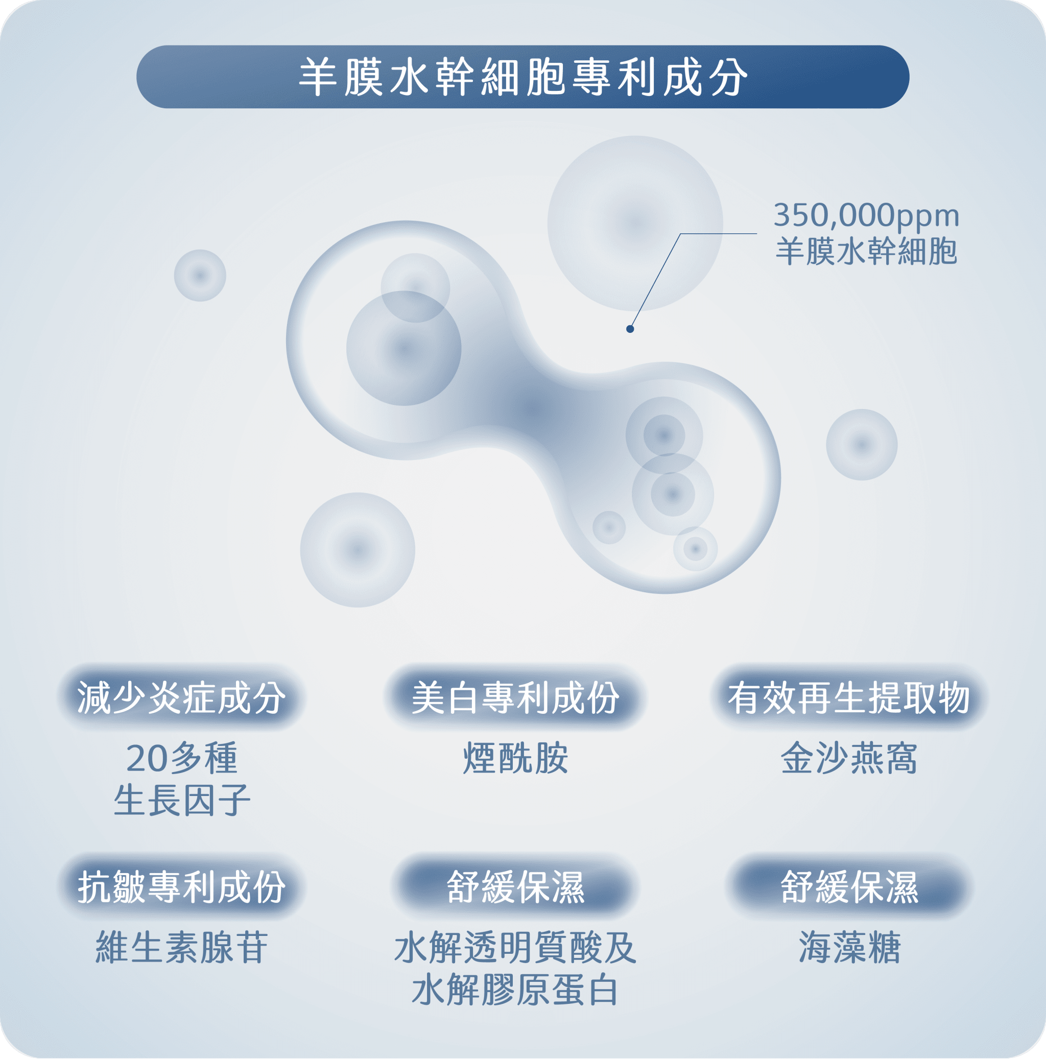 羊膜水幹細胞