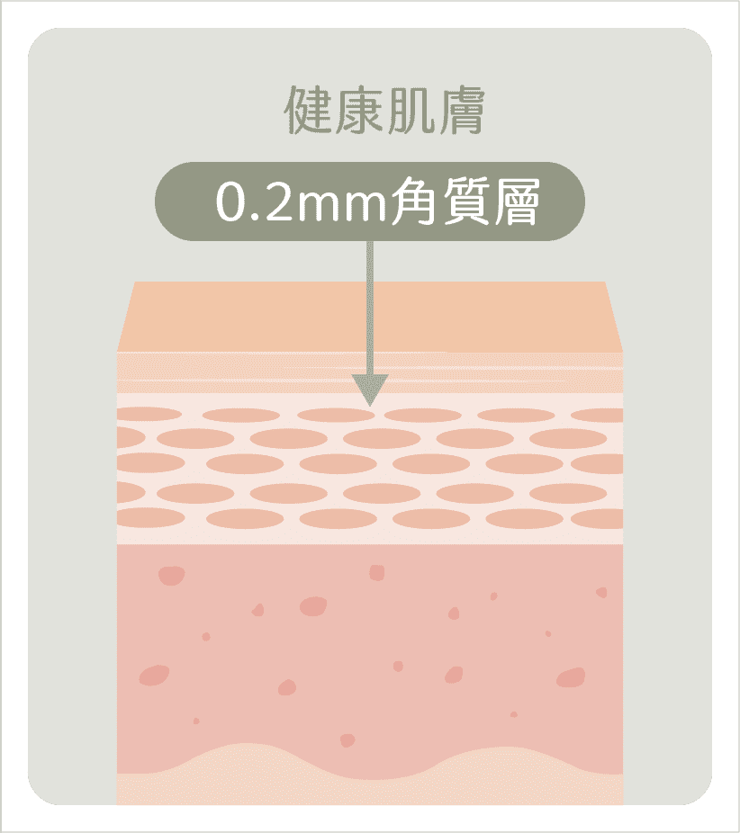 健康肌膚