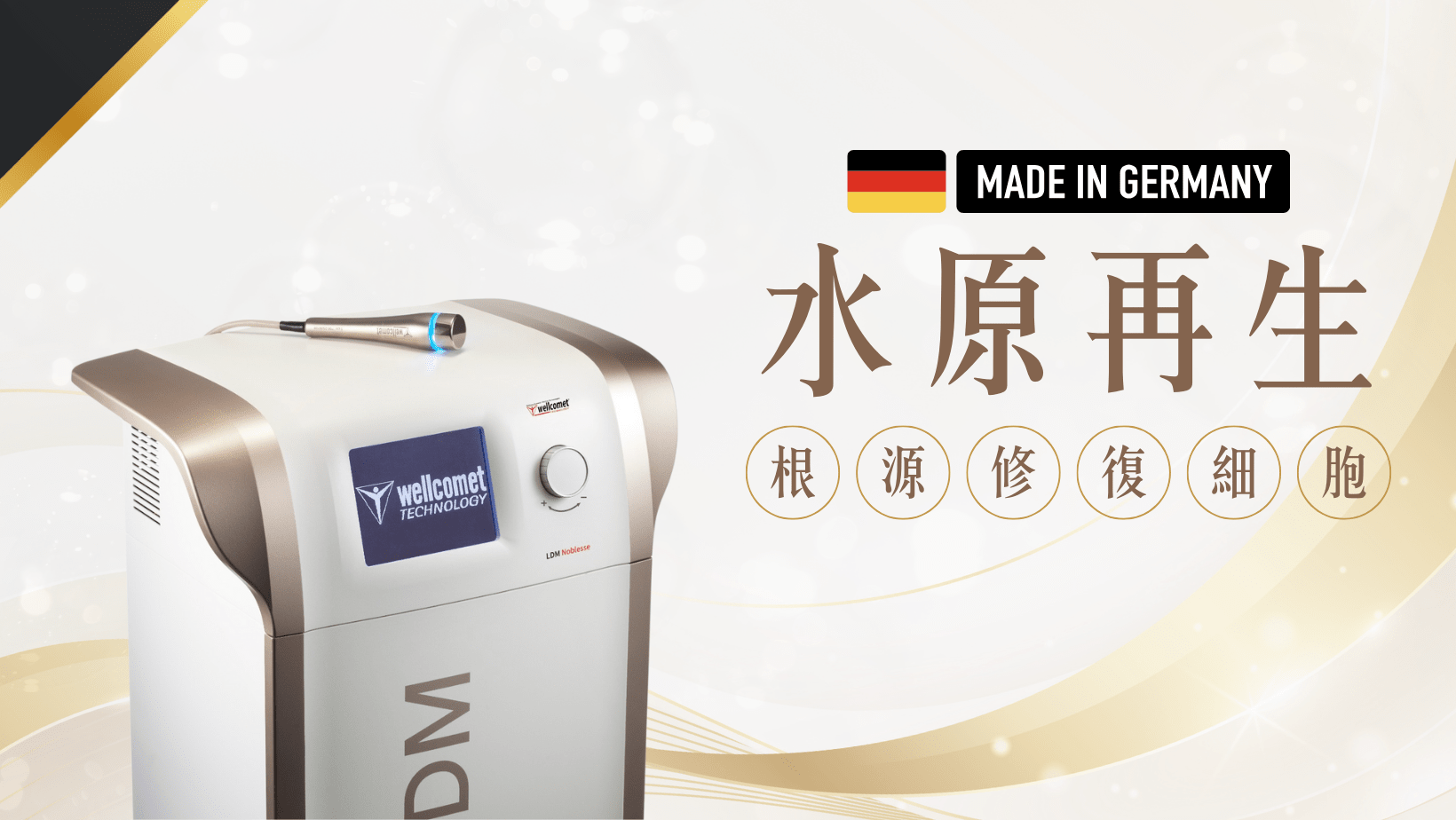 LDM細胞機