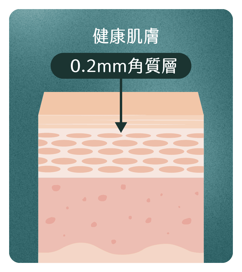 健康肌膚