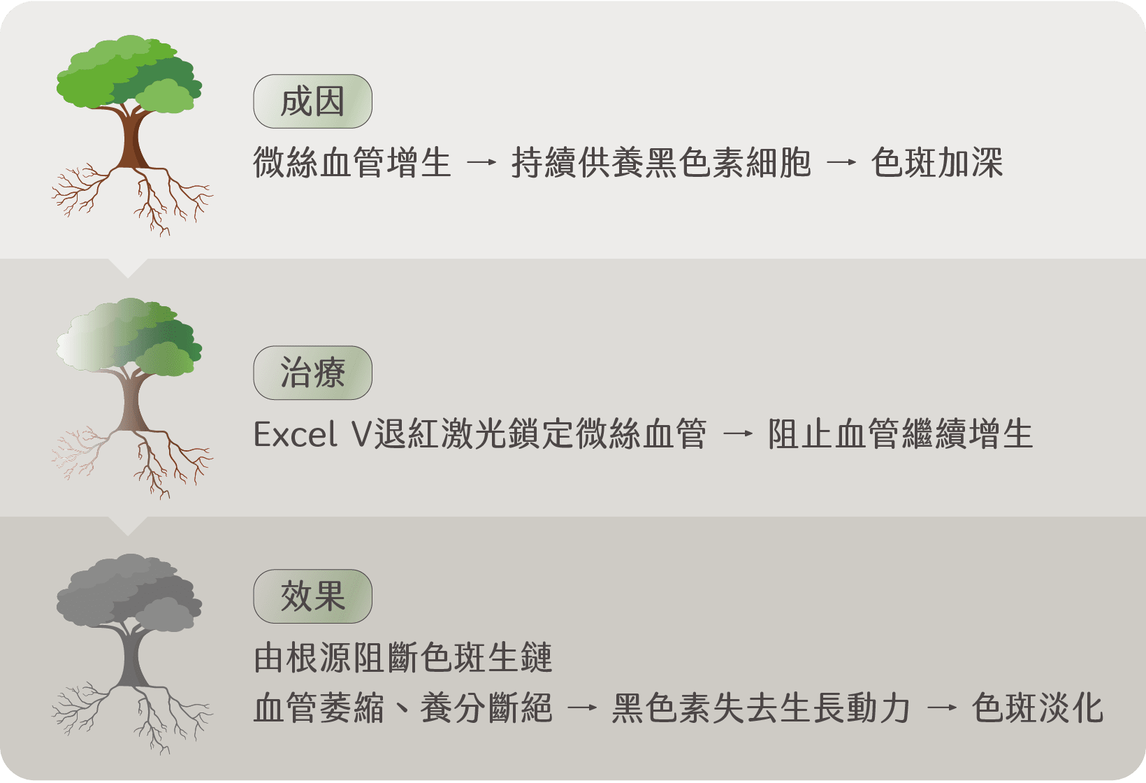 Excel V退紅原理