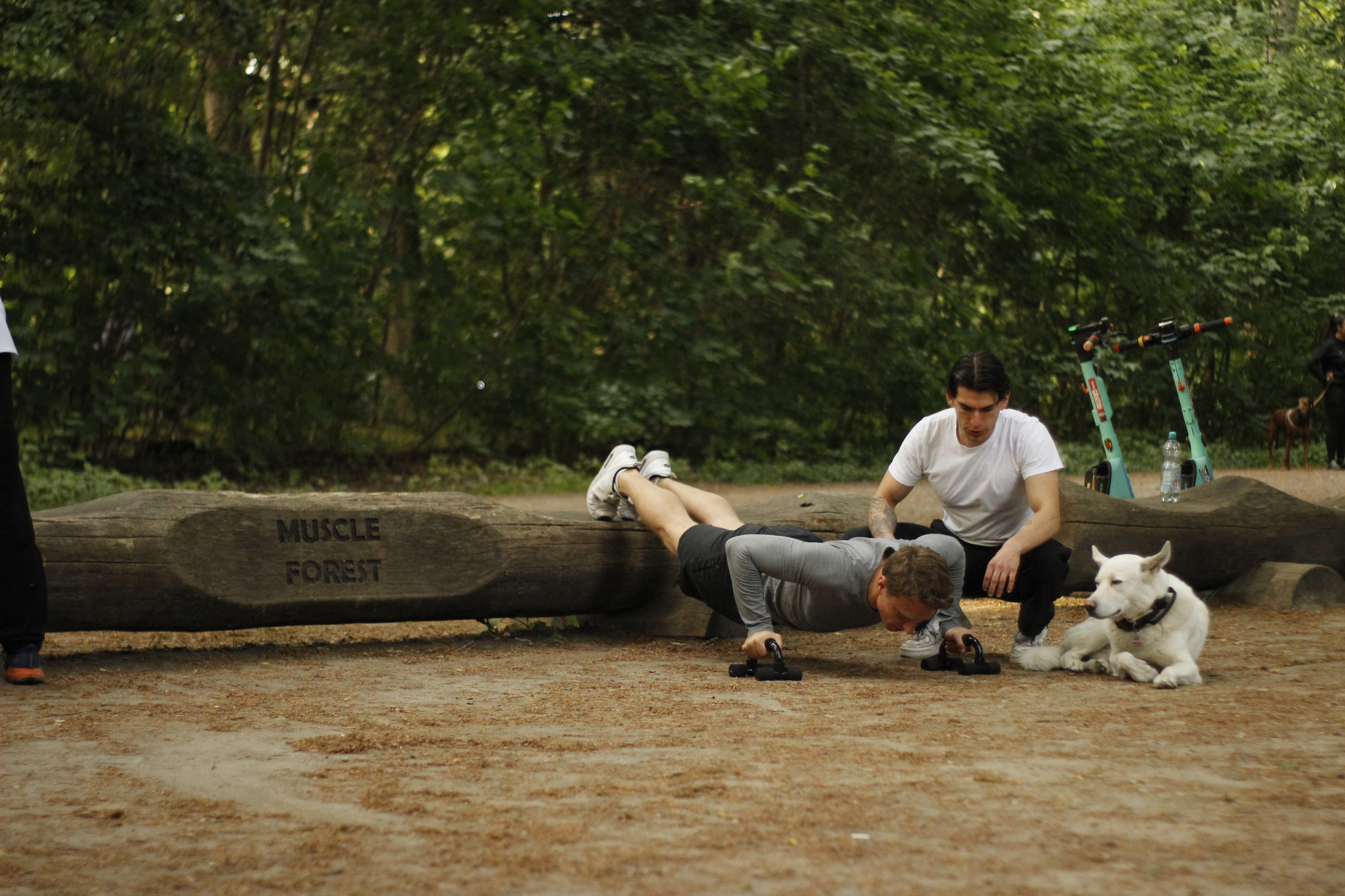 Toni und Lio im Waldtraining