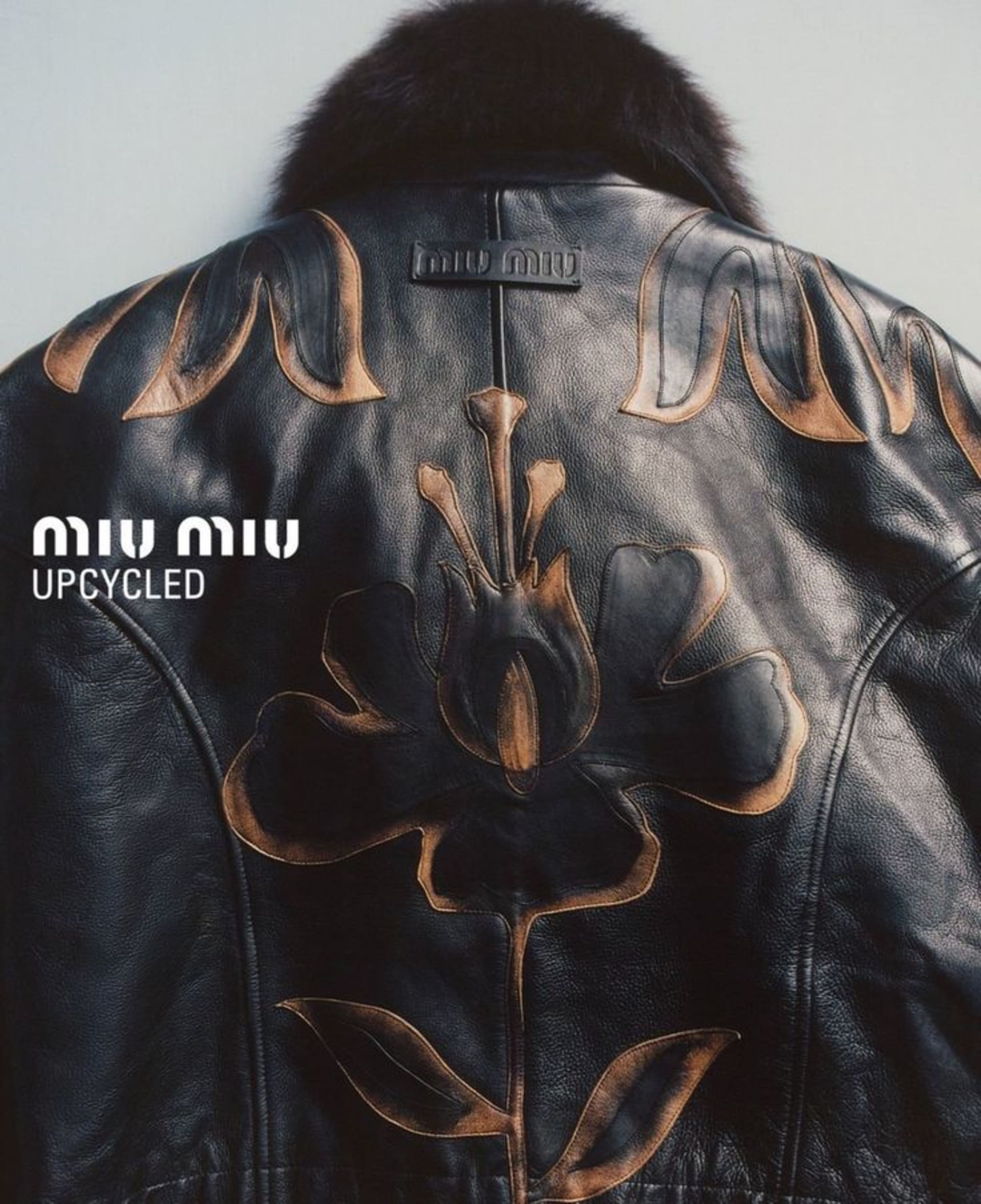 Image de la galerie Rayone