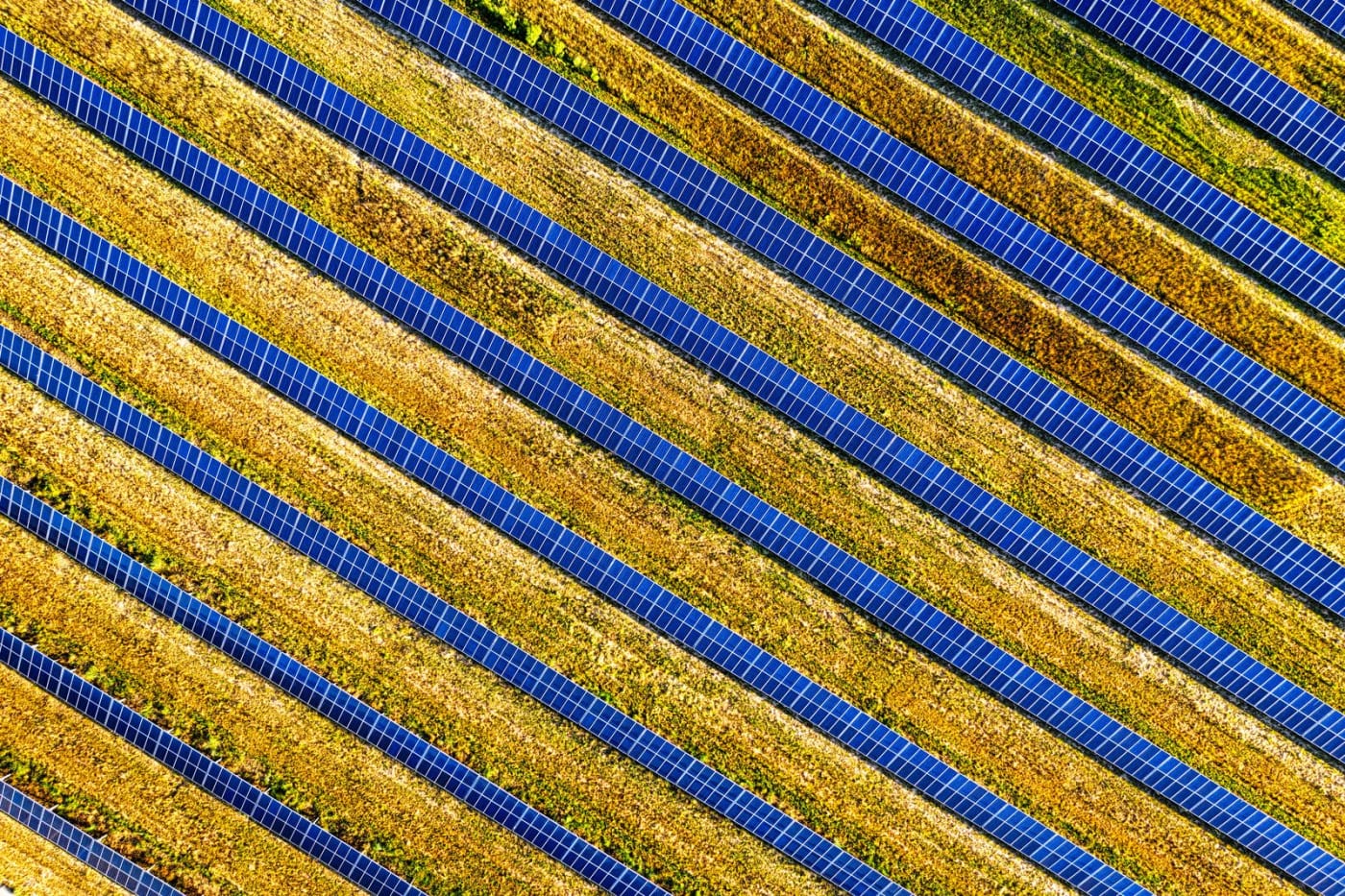 Industrial Solar