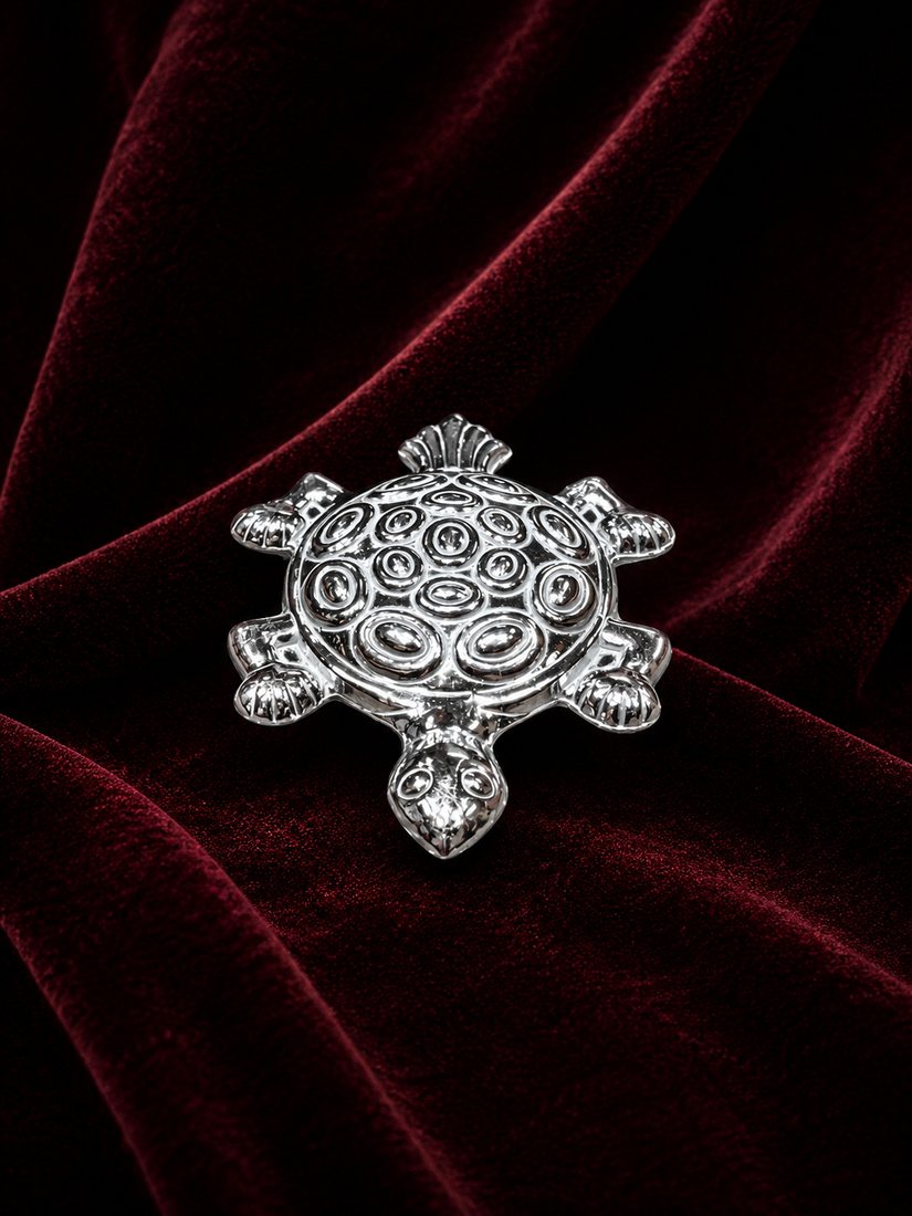 Silver Kasav