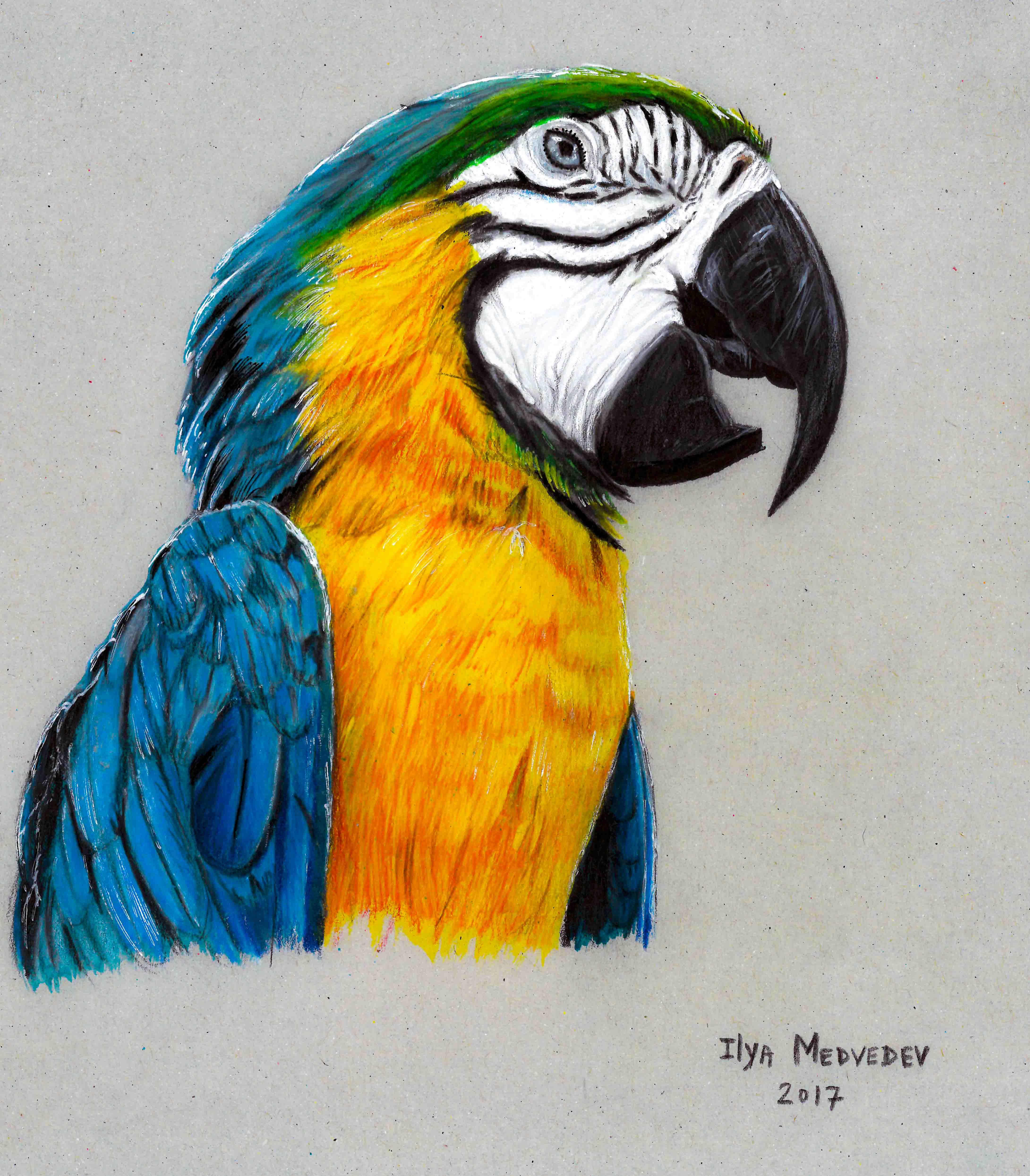 Mixed Media Drawing Course