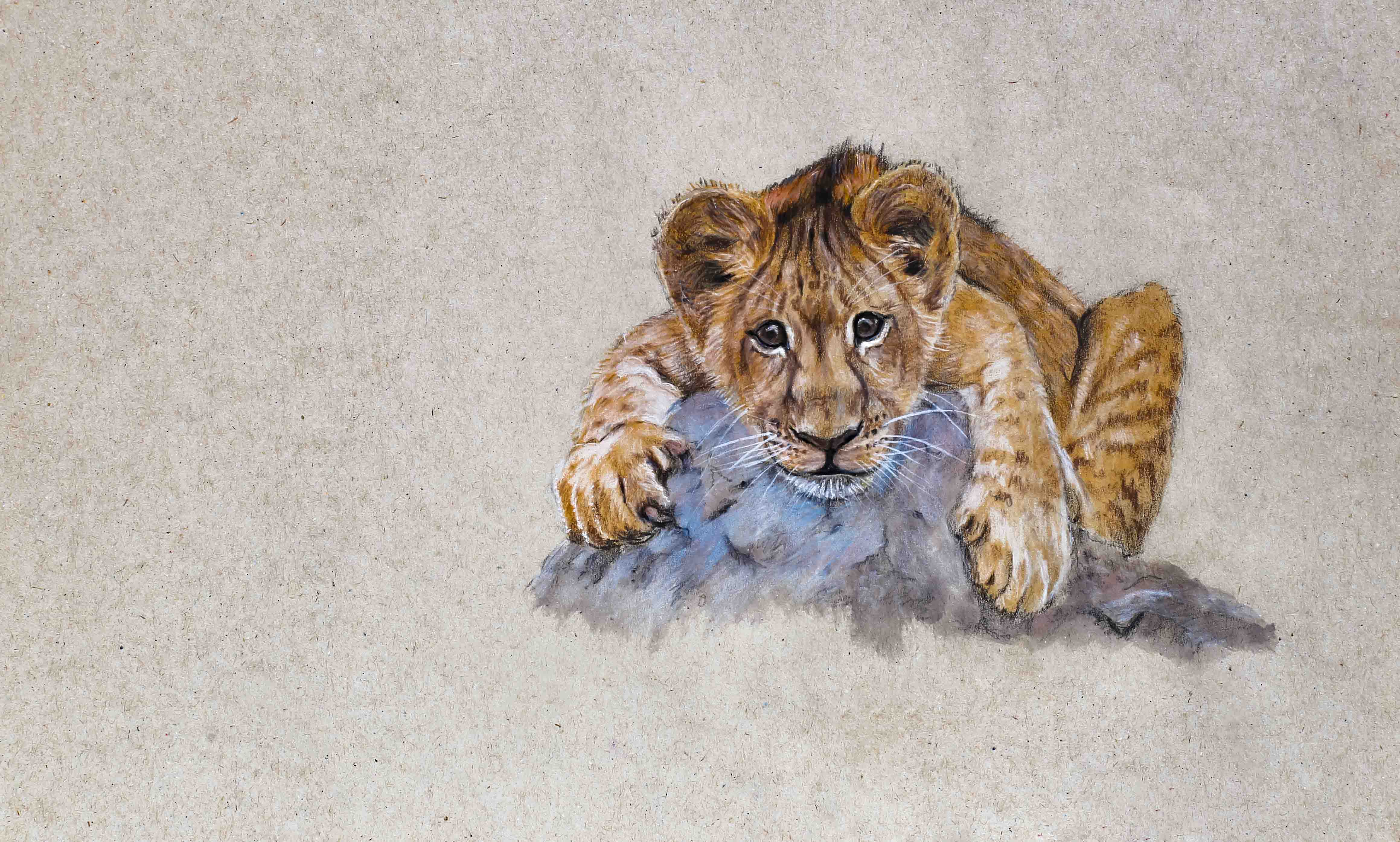 Mixed Media Drawing Course