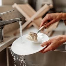 Dish Brush