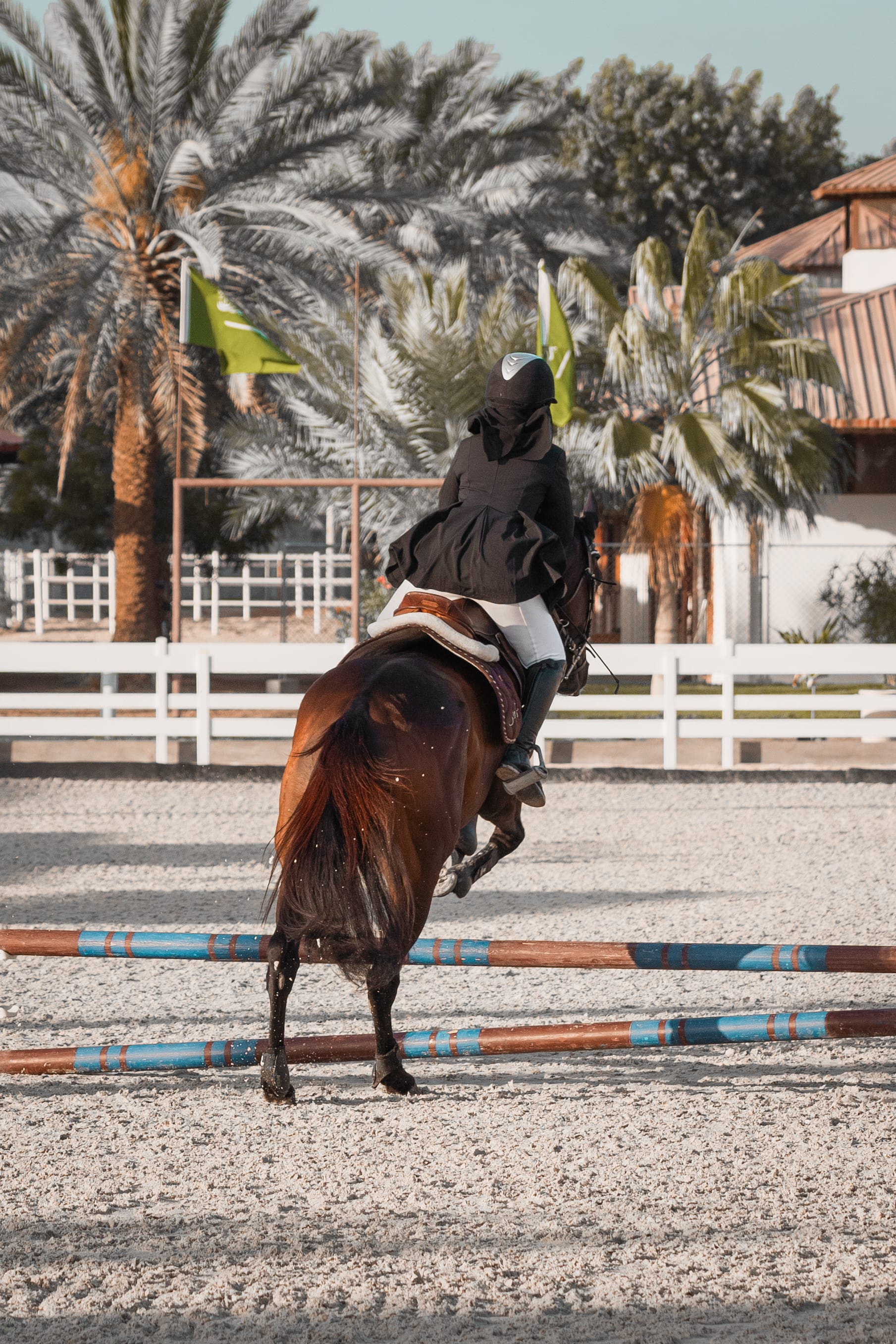 horses — image 10