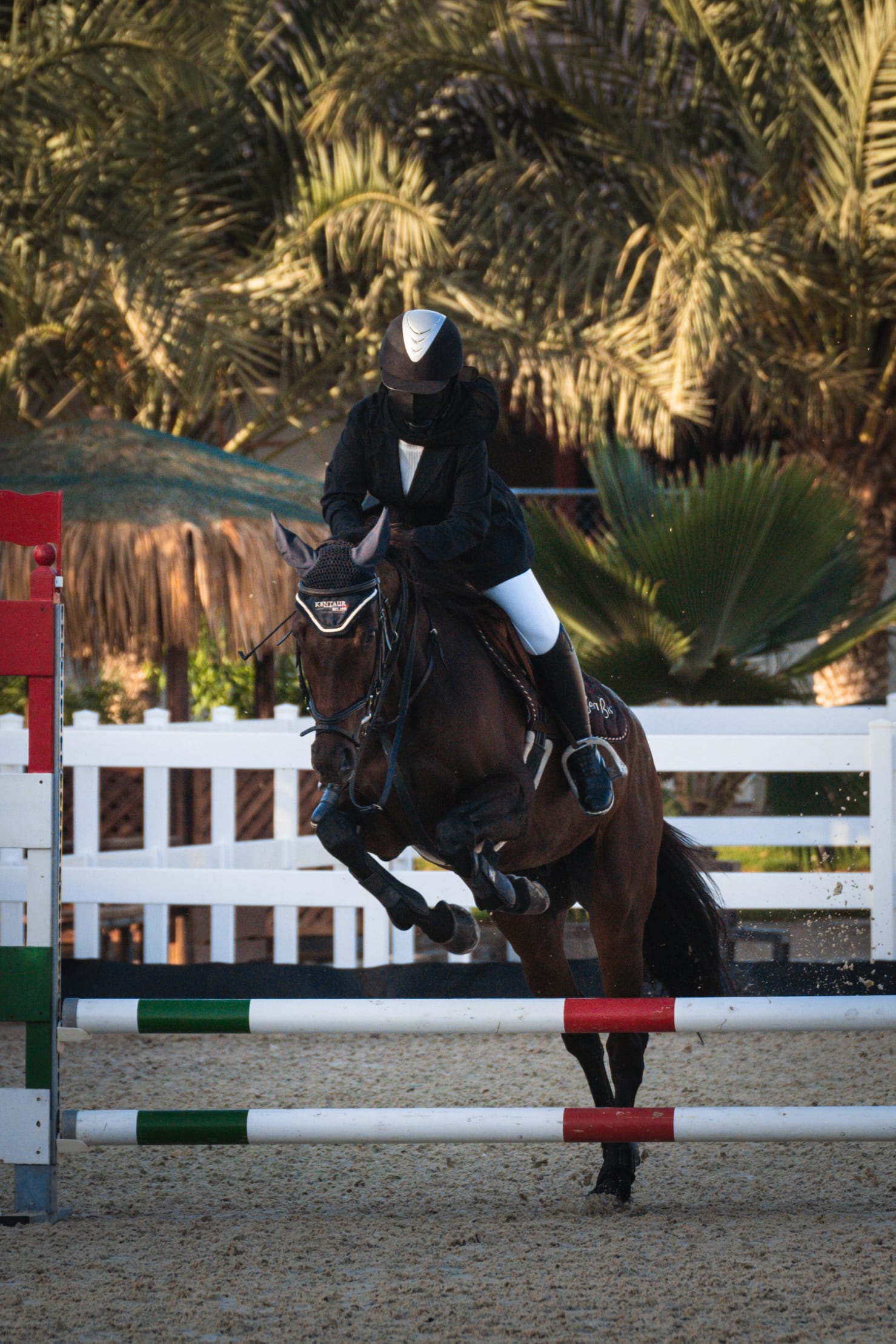 horses — image 12
