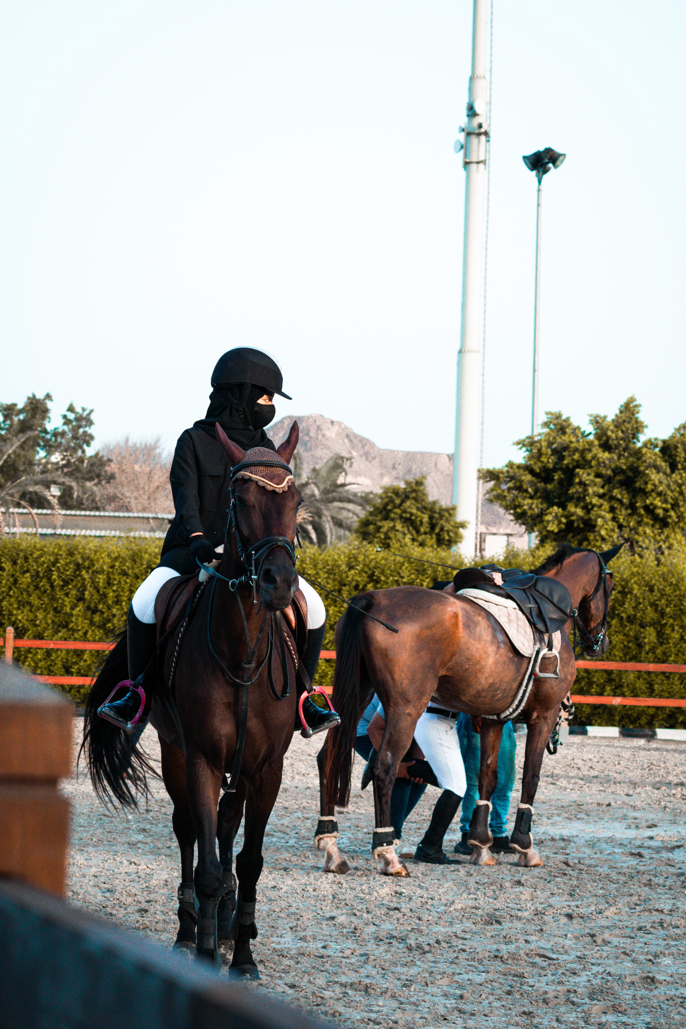 horses — image 19