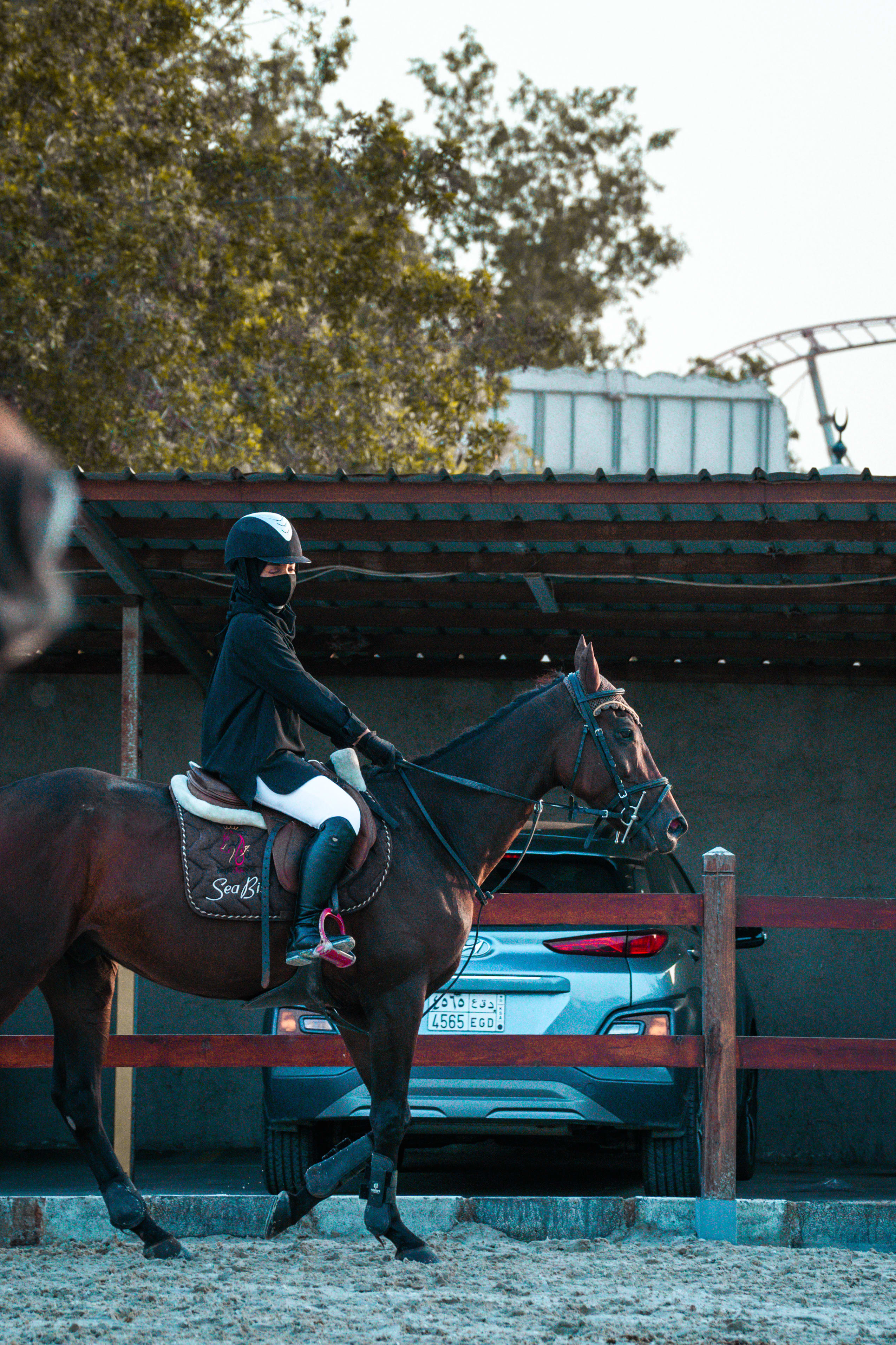 horses — image 18