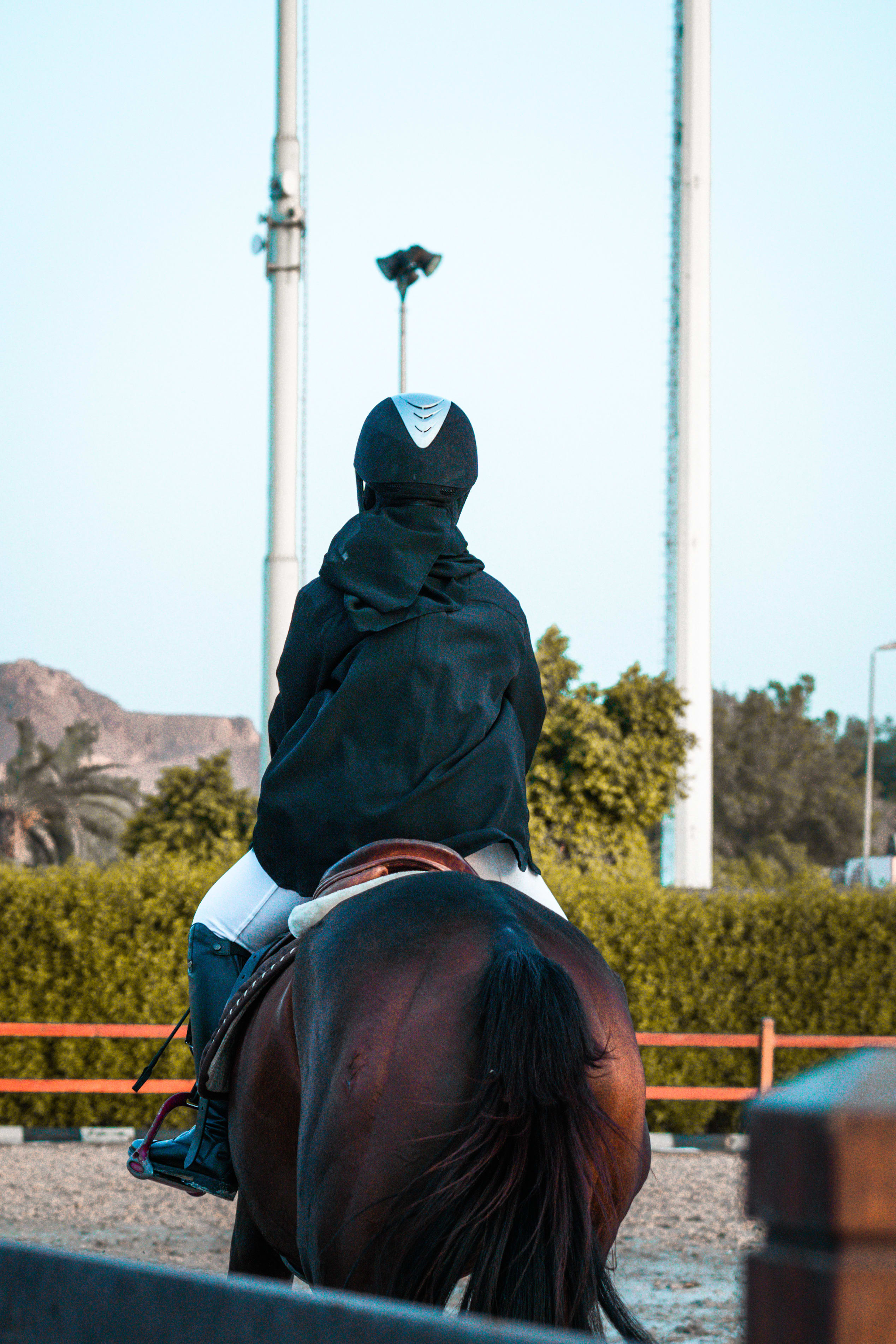 horses — image 22