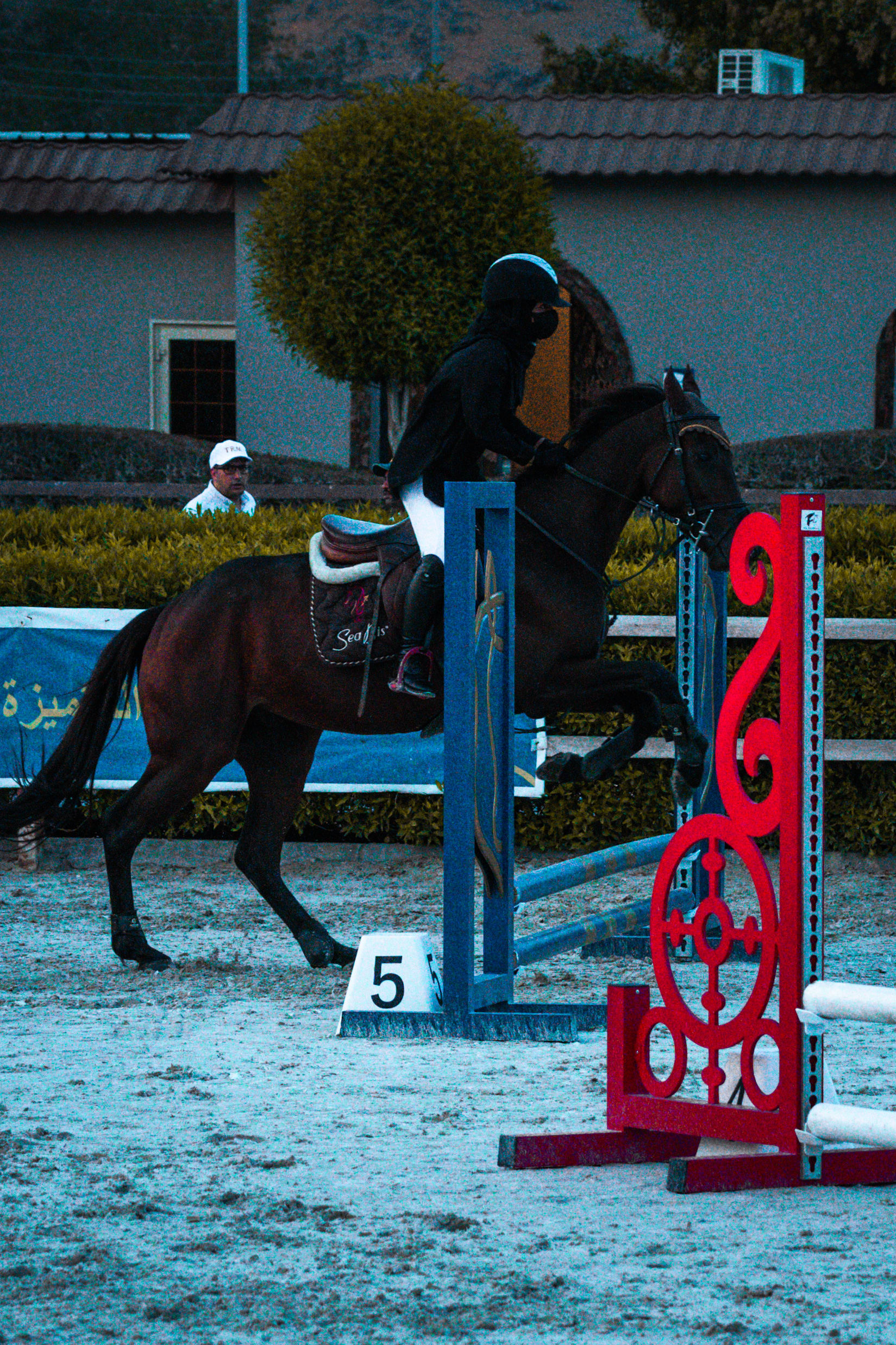 horses — image 25