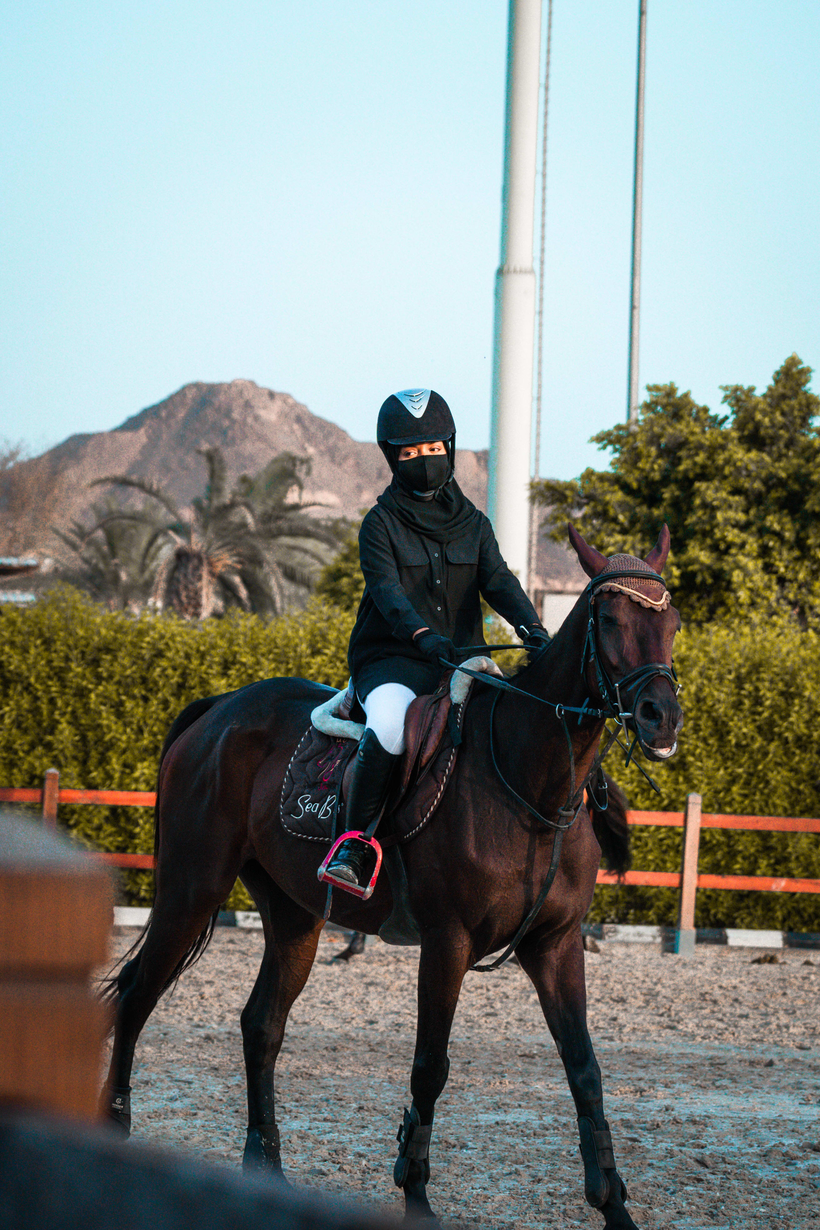 horses — image 20