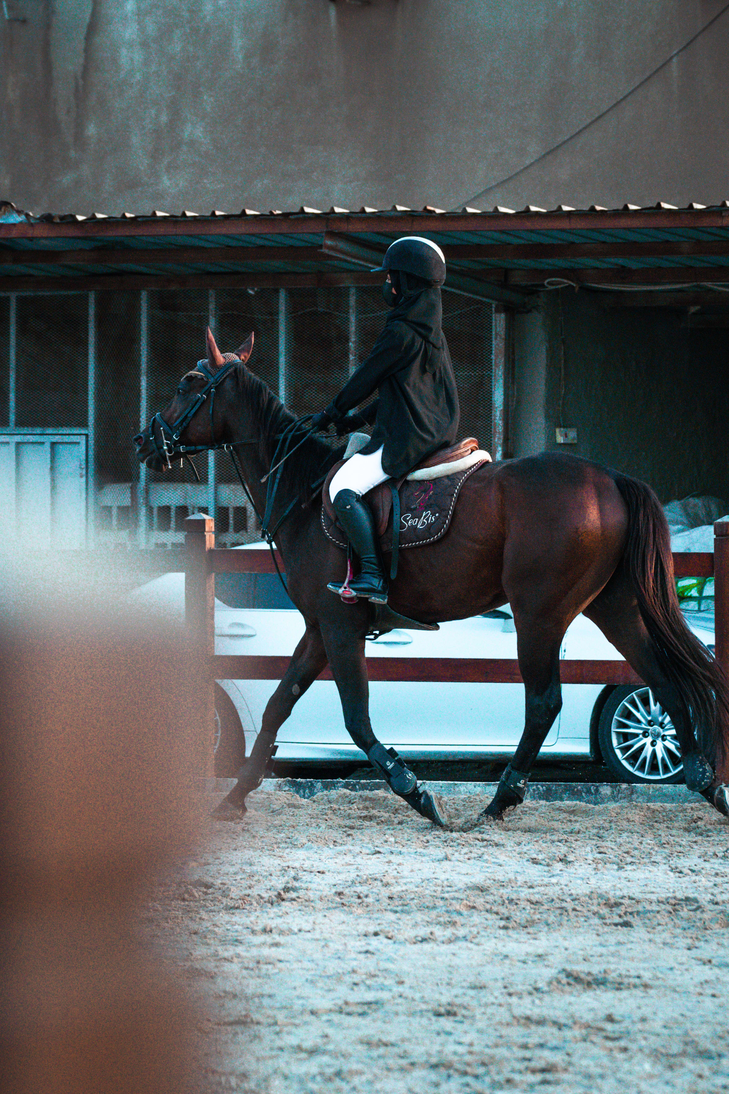 horses — image 21