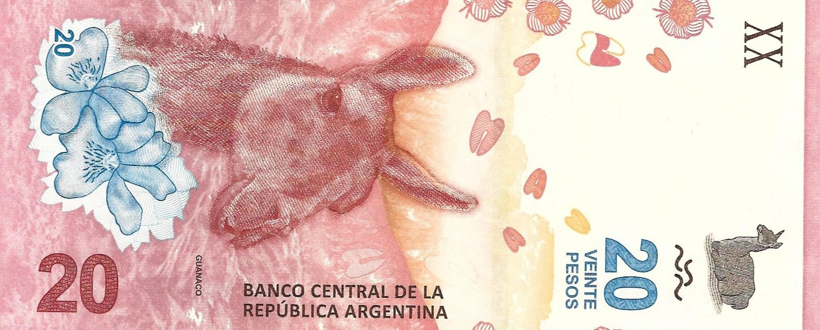 argentina / 20 pesos