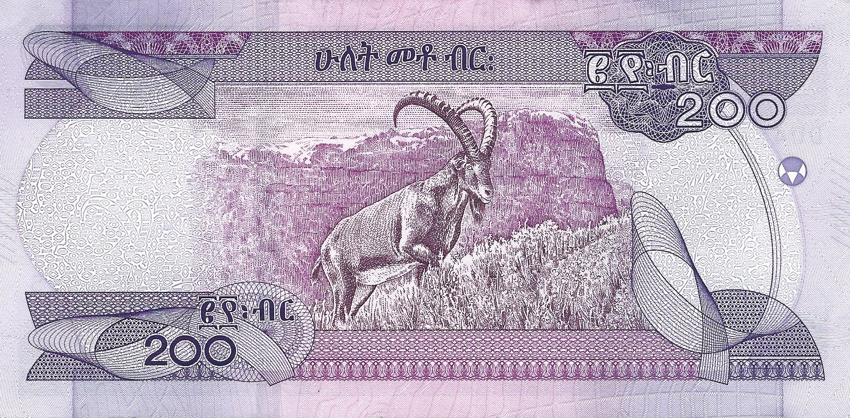 200 birr new 2020 dos ethiopia
