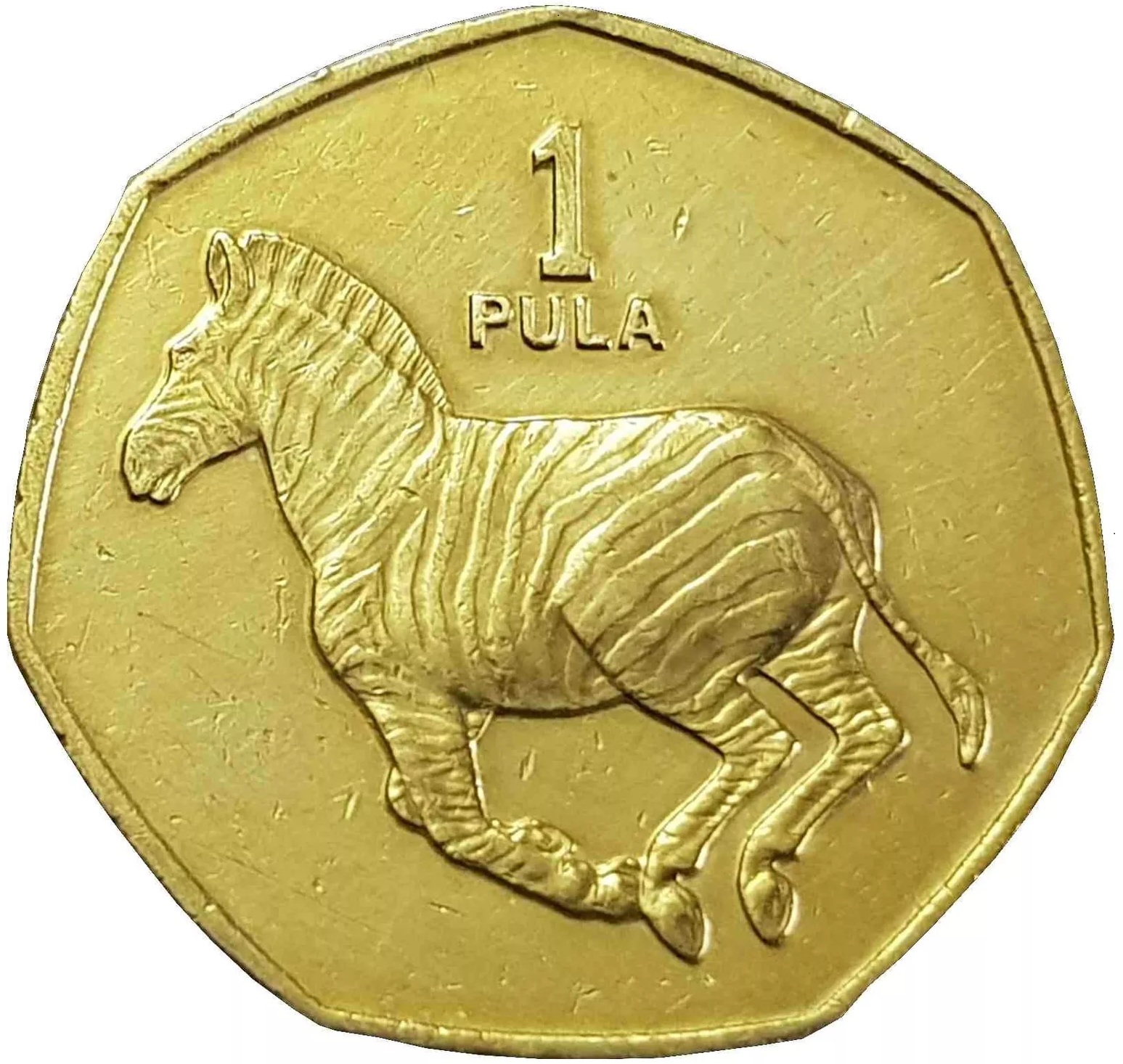 1 pula new 2007 botswana