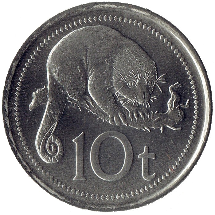 10 toe new 2005 papua new guinea