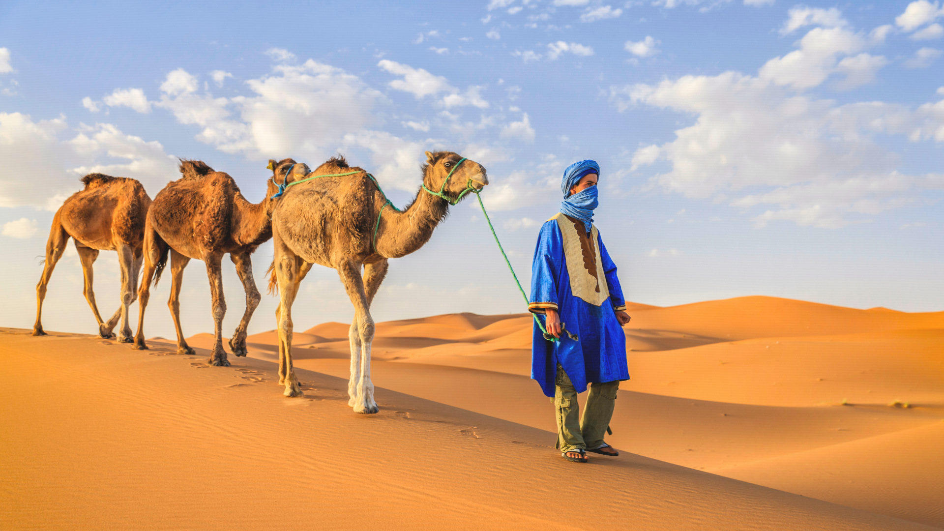 Désert du Sahara
