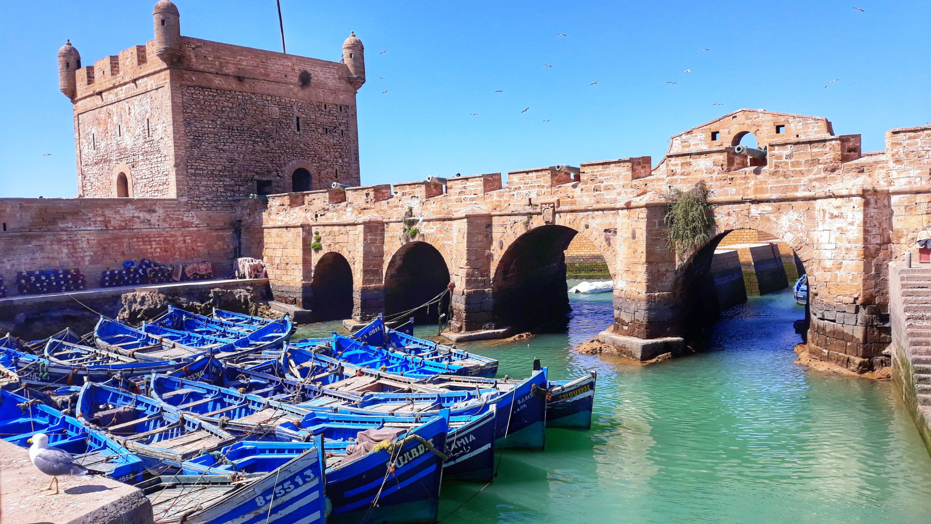 Essaouira perle atlantique