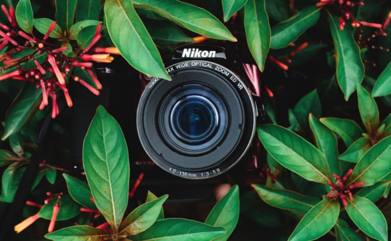 Learn the basics of photography