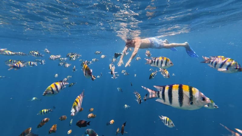 Snorkeling Trip in Nha Trang