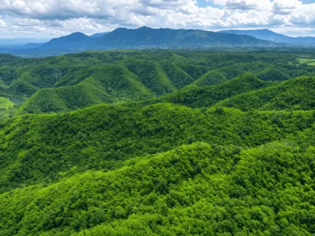 Breathing Life With 1,00,000 Trees — Haute Eden Valley