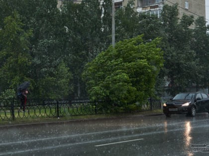 Дожди и грозы в Свердловской области возможны 1 июня
