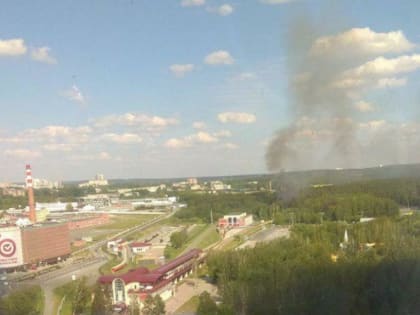 В парке Маяковского произошел пожар