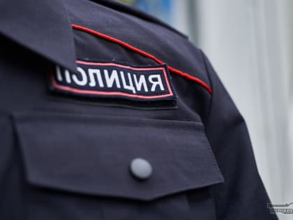 В МВД отреагировали на комментарий полицейского об избиении юной тагильчанки