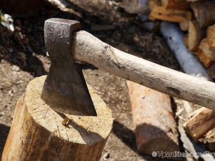 В екатеринбургских скверах порубят кроны