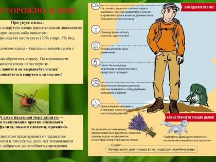 Осторожно, клещи!