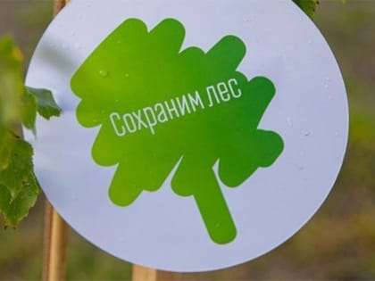 В Полевском в рамках акции «Сохраним лес» высадили саженцы липы и клёна