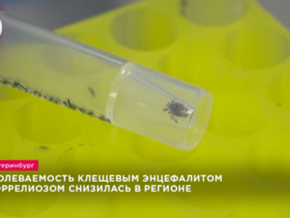 В Свердловской области клещи стали меньше кусаться