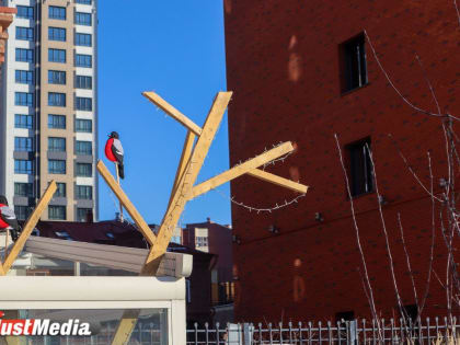 «В городе наконец-то тепло». В Екатеринбурге -5 градусов