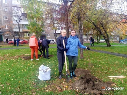 Семейную аллею заложили в районе металлургов