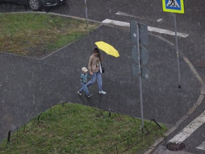 В Екатеринбурге в конце августа будут идти проливные дожди