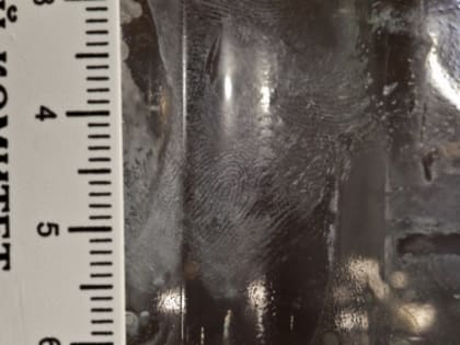 В Свердловской области возбуждено уголовное дело по факту обнаружения в частном доме тел 5 человек