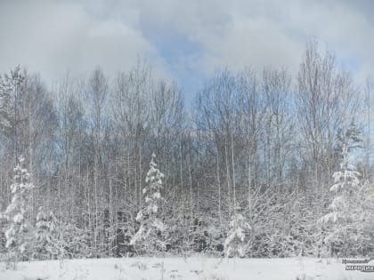 На Урале объявлено штормовое предупреждение из-за аномальных морозов