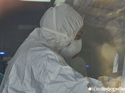 Санврачи выяснили, как дети в Первоуральске подхватили стригущий лишай