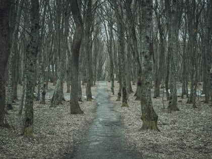 Третий класс опасности объявлен в Нижнем Тагиле