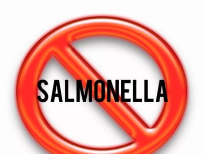 Профилактика сальмонеллеза!